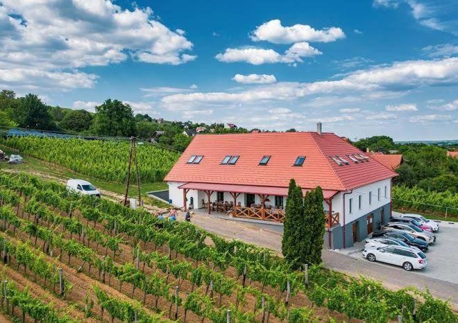 Somlovasarhely Somlo Kolonics Kuria酒店 外观 照片